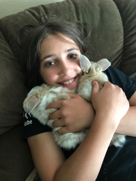 find a bunny to snuggle with